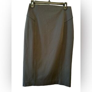 Express Back Zip Pencil Aline Skirt size 2